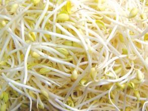 ��ѿ���벻���ĺô�